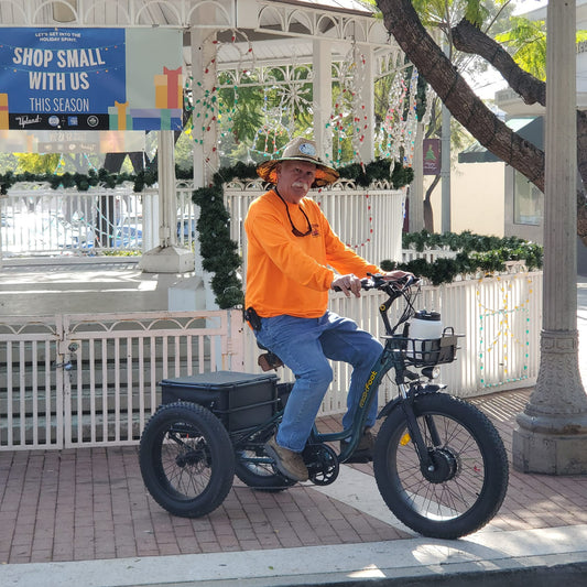 The Most Wanted E-Trike for Seniors
