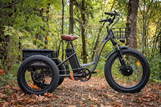 How is Electric Trike Better for Environment