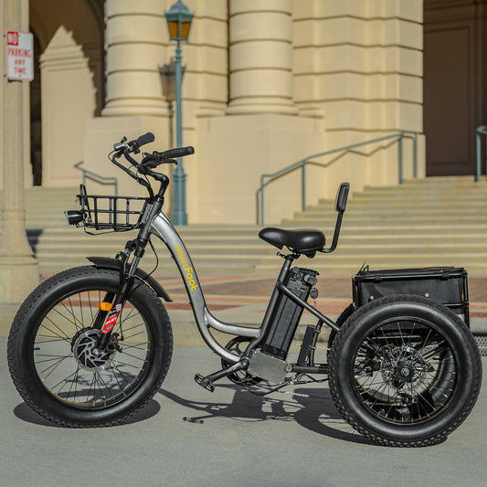 What are the features the best fat tire e-trike have
