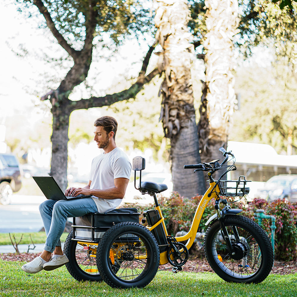 MF-30 Fat Tire Step-Thru Cargo Electric Assist Adult Tricycle