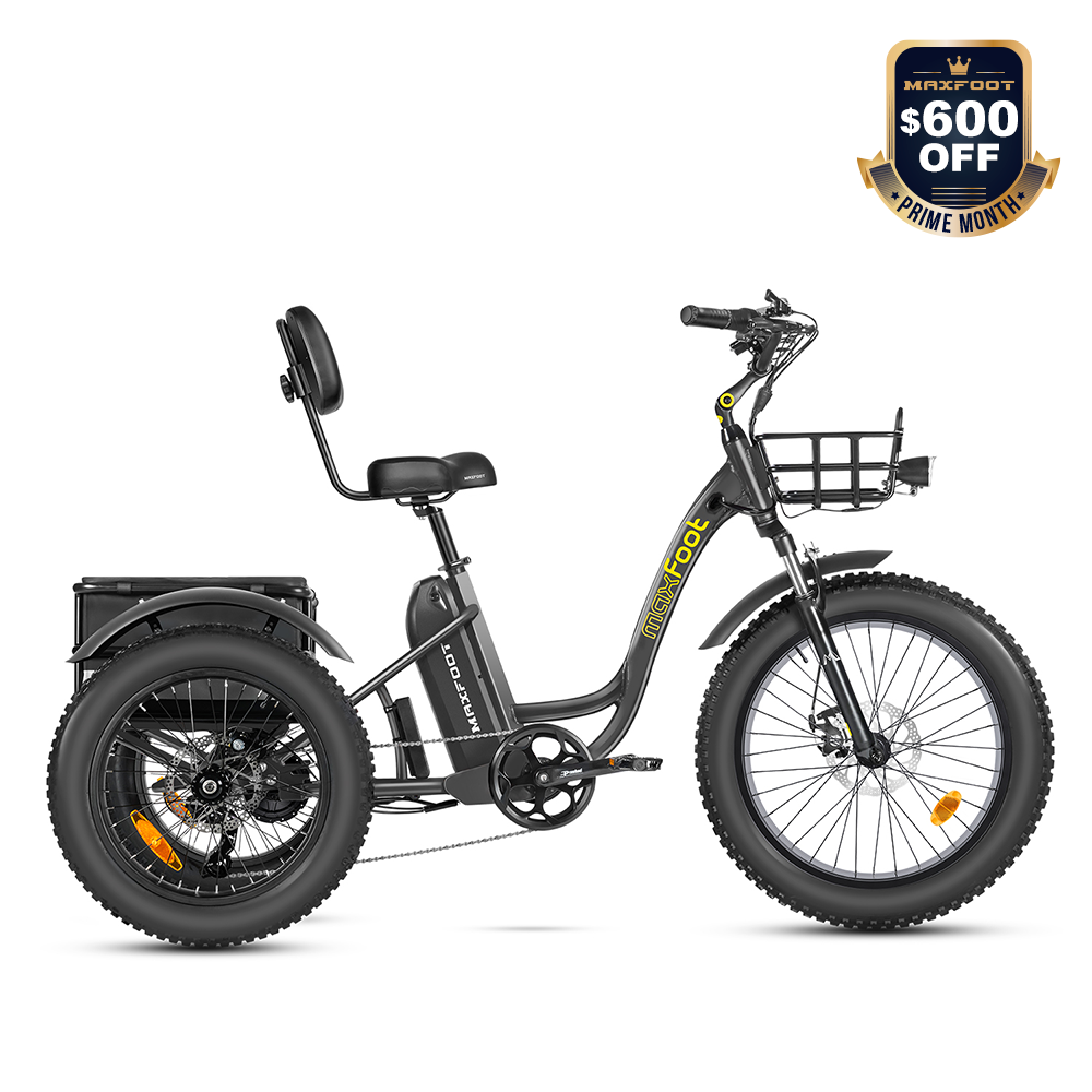 Maxfoot MF-30| Cargo Electic Trike Electric Tricycle For Senior