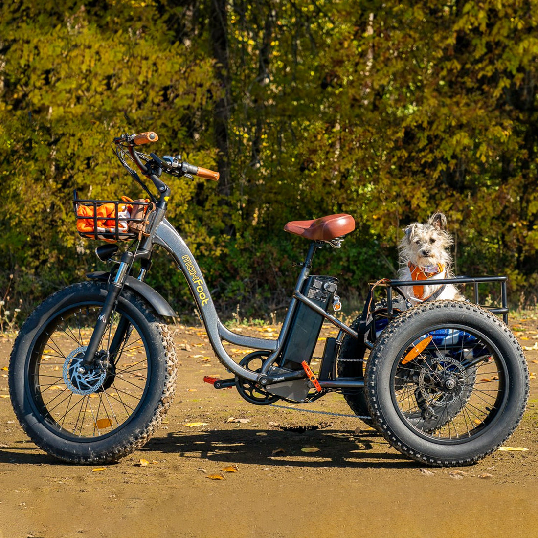 Electric Trikes for People with Mobility Issues: Enhancing Independence