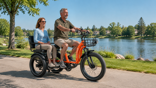 Electric Tricycle For 2 Adults