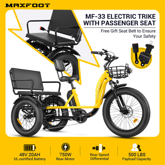 Double the Fun: Exploring the Benefits of Electric Trikes with Passenger Seat