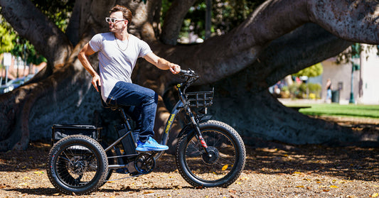 maxfoot mf-30 electric trike