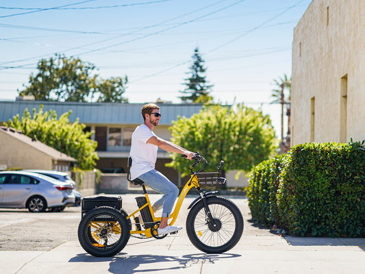 How to Choose the Perfect Fat Tire Electric Tricycle