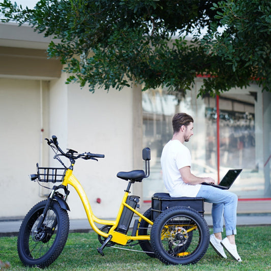 The MF-30 Electric Trike: A Reliable & Practical Best Electric Tricycle for Adults