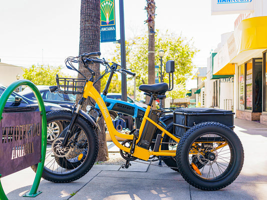 All About Fat Tire Electric Trikes