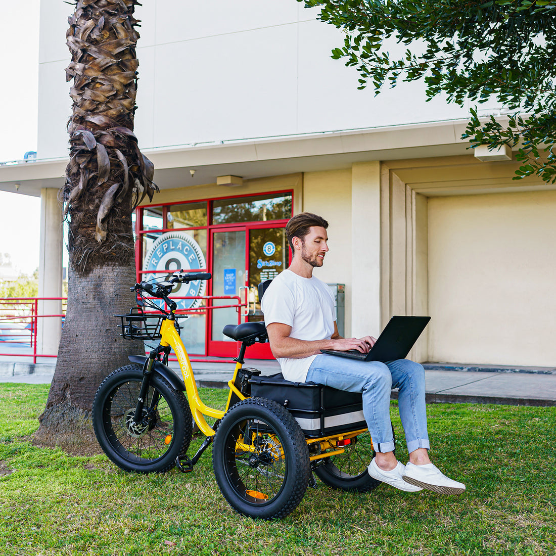 MF-30 electric trike with rear cargo basket