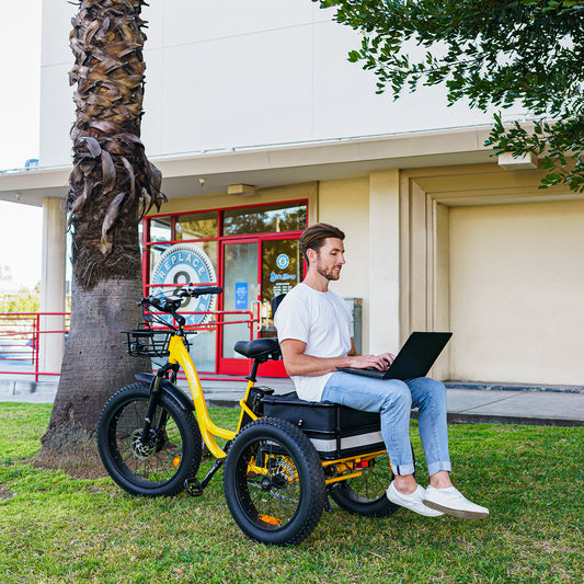 MF-30 electric trike with rear cargo basket