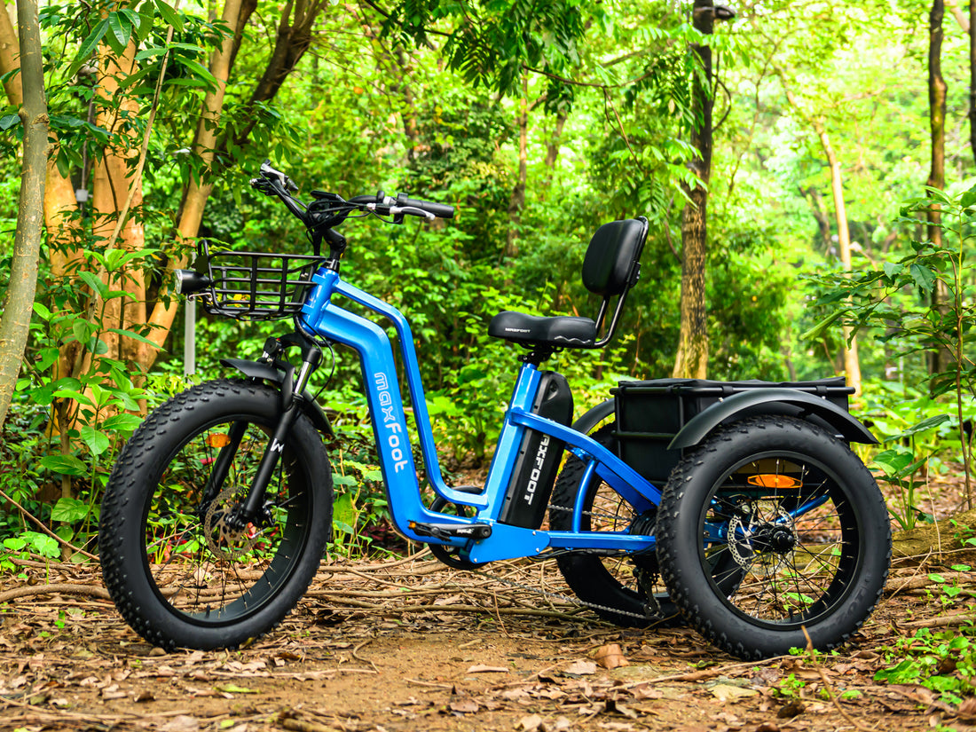 Electrifying Gifts: Discover the Top eTrikes for Holiday Gifting