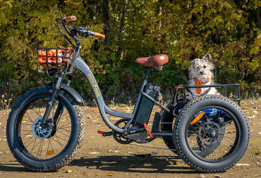 EBike School: The Quick-Start Guide to Your Ride