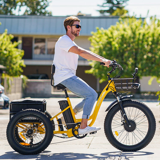 The MF-30 Electric Trike: A Reliable & Practical Best Electric Tricycle for Adults