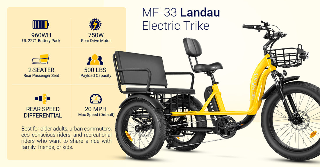 maxfoot new passenger electric trike