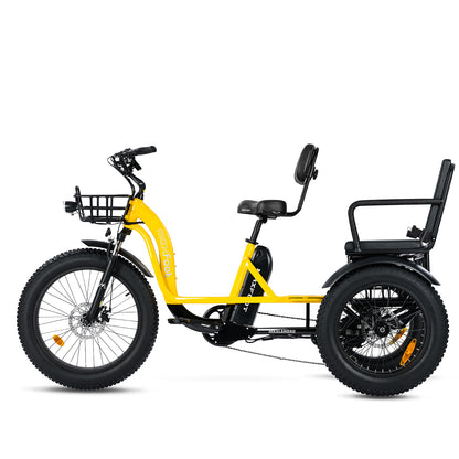 [750W] MF-33 MAXLANDAU Rear Drive Electric Trike