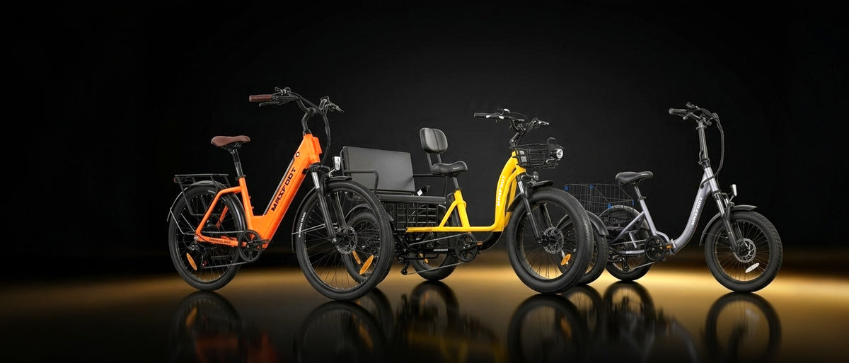 MaxFoot family riding electric trike