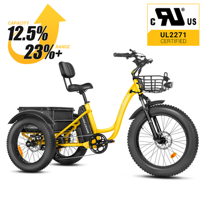 Maxfoot Etrike MF 30 Electic Trike Electric Tricycle For Senior MaxFoot Electric Bike