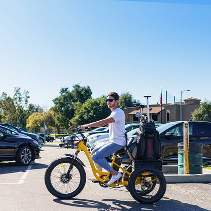 [750W] MF-30 Rear Drive Electric Trike