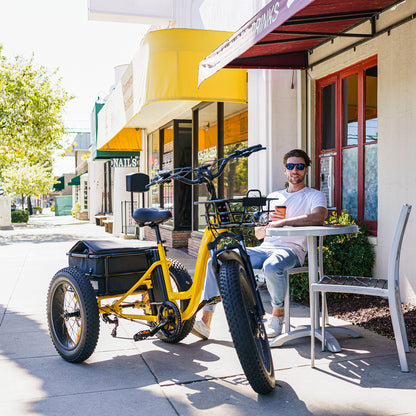 [750W] MF-30 Rear Drive Electric Trike