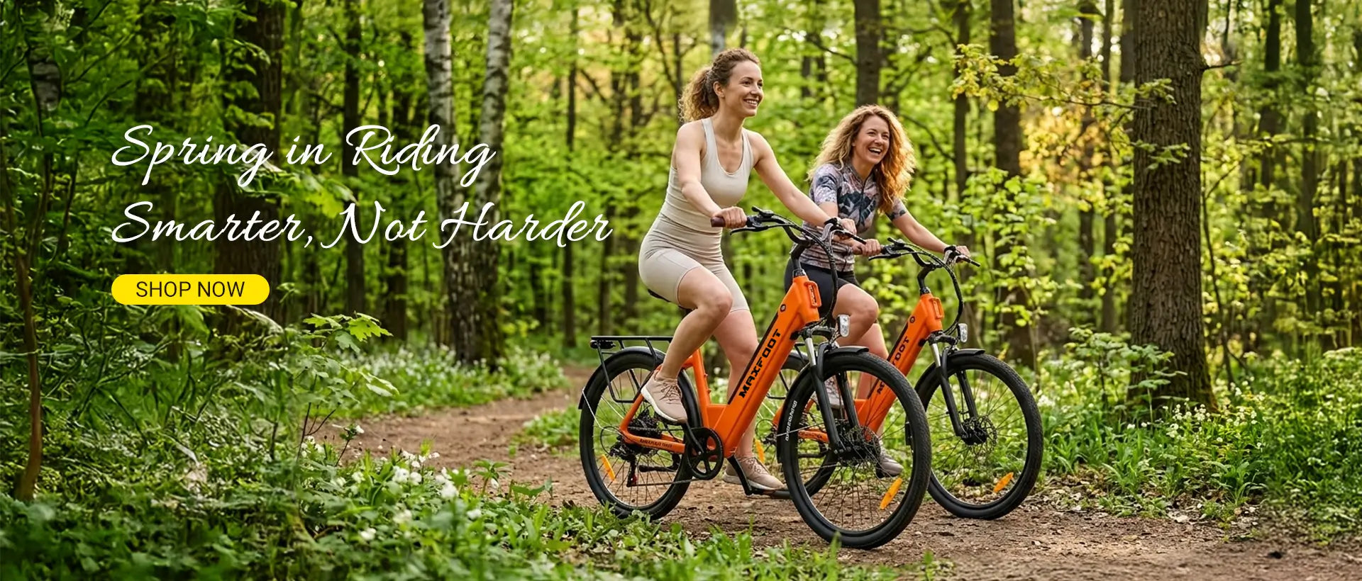 MaxFoot electric bike mf25