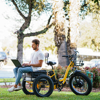 MF-30 Fat Tire Step-Thru Cargo Electric Assist Adult Tricycle