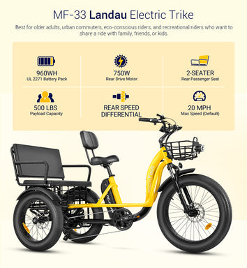 Electric Tricycles: The Perfect Solution for Family Outings