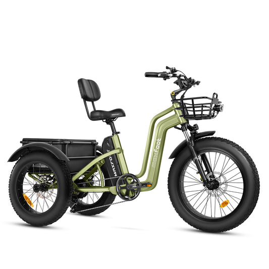 A MaxZ 24" Step -Thru Electric Tricycle Panagea Green