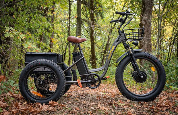 Maxfoot all-terrain electric trike